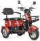 Электроскутер E-TRIKE MINYON 2+1 NEW 2024